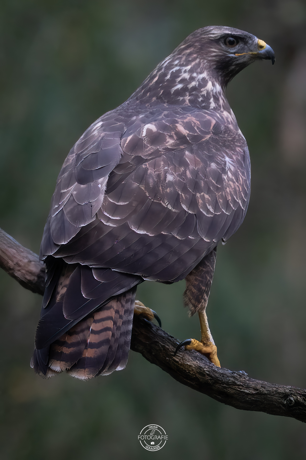 23 oktober 2022 095328 1R2A9190 bewerkt bewerkt